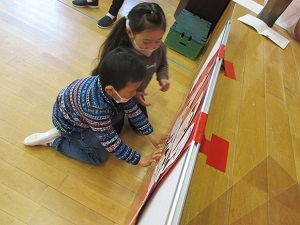 IMG_3495 IMG_3495