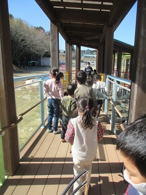 IMG_3483 IMG_3483