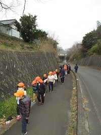 IMG_3637 IMG_3637