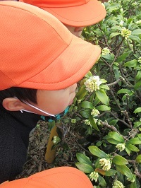 IMG_3644 IMG_3644