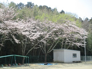 IMG_4003 IMG_4003
