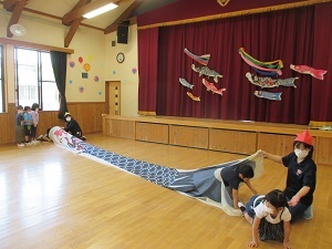 IMG_4522 IMG_4522
