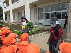 IMG_4423 IMG_4423