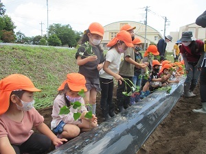 IMG_4433 IMG_4433
