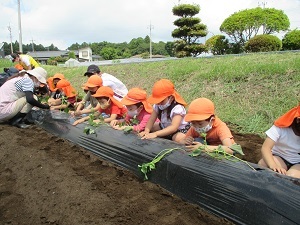 IMG_4442 IMG_4442