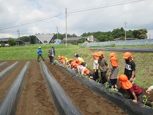 IMG_4445 IMG_4445