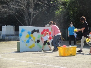 IMG_5517 IMG_5517