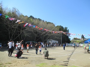 IMG_5530 IMG_5530