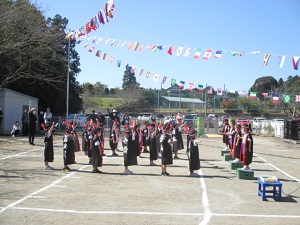IMG_5565 IMG_5565