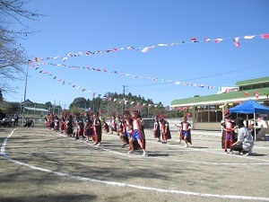 IMG_5575 IMG_5575
