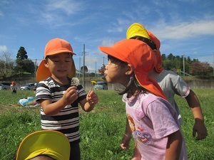 IMG_5508 IMG_5508