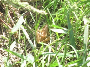 IMG_5680 IMG_5680
