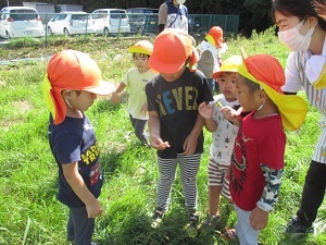 IMG_5686 IMG_5686
