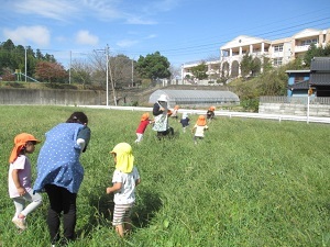 IMG_5687 IMG_5687