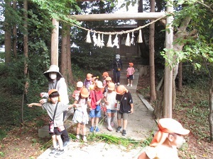torii