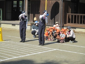 IMG_5785 IMG_5785