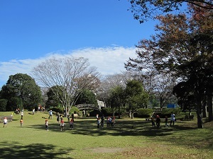 IMG_0088 IMG_0088