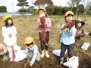 IMG_6229 IMG_6229
