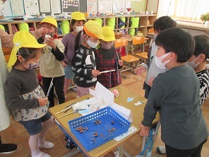 IMG_6463 IMG_6463