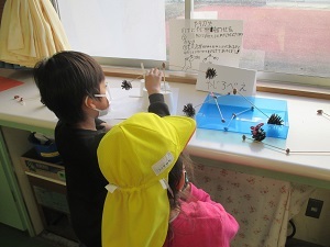 IMG_6474 IMG_6474