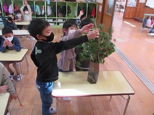 IMG_7370 IMG_7370