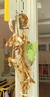 IMG_7556(1)