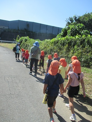 IMG_9035 IMG_9035