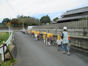 IMG_9498 IMG_9498
