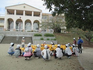 IMG_9501 IMG_9501