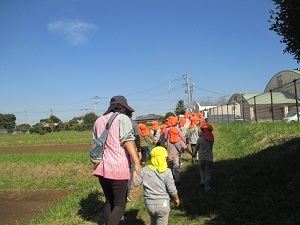 ☆彡IMG_9558 ☆彡IMG_9558