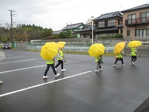 IMG_9597 IMG_9597