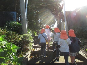 IMG_9785 IMG_9785