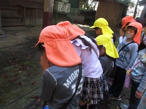 IMG_9795 IMG_9795