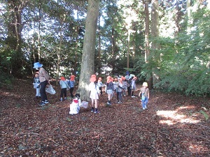 IMG_9797 IMG_9797