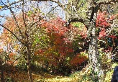 huukei