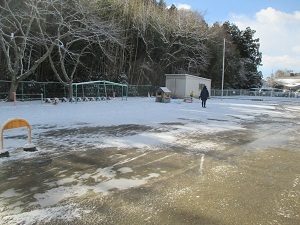 IMG_0441 IMG_0441