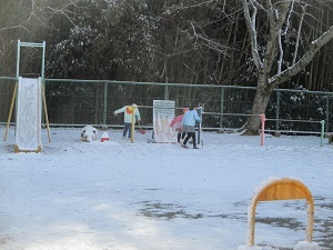 IMG_0442 IMG_0442