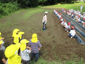 IMG_1503 IMG_1503