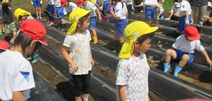 IMG_1504 IMG_1504