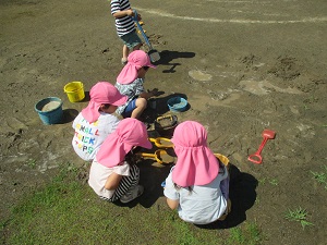 IMG_1586 IMG_1586