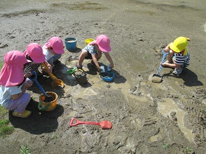 IMG_1587 IMG_1587