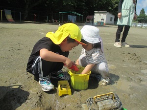 IMG_1609 IMG_1609