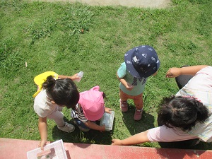 IMG_1628 IMG_1628