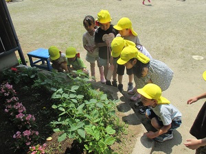 IMG_1630 IMG_1630