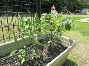 IMG_1635 IMG_1635