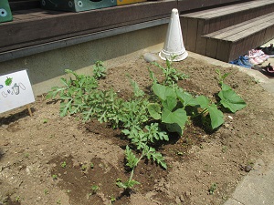 IMG_1637 IMG_1637
