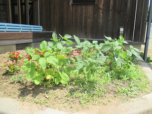 IMG_1638 IMG_1638