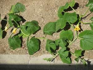 IMG_1639 IMG_1639