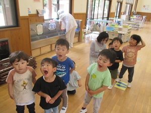 IMG_1487 IMG_1487