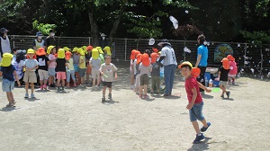 IMG_1495 IMG_1495